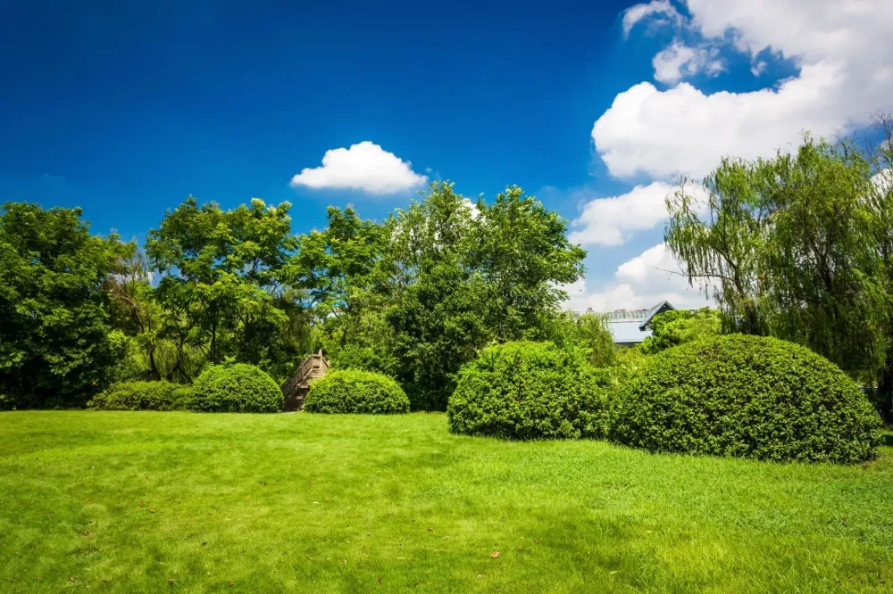 débroussailleuse terrain